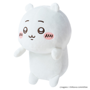 Posture Pal - CHiiKAWA - Daily Choice