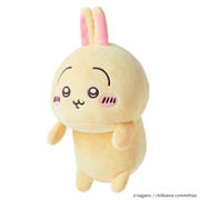 Posture Pal - CHiiKAWA - Gift Accent
