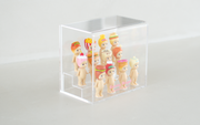 Sonny Angel Acrylic Display Case - Cute Display