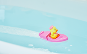 Duck Sailor Boat - Cute Ready