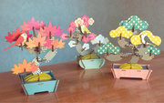 Play Plants Bonsai Puzzles - Daily Choice
