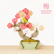 Play Plants Bonsai Puzzles - Daily Choice