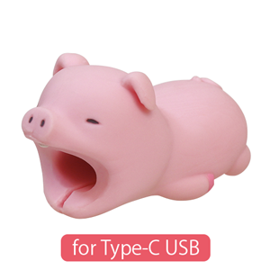 CABLE BITE for Type-C USB - Travel Carry