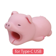 CABLE BITE for Type-C USB - Gift Accent