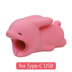 CABLE BITE for Type-C USB - Daily Charm