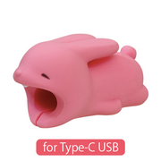 CABLE BITE for Type-C USB - Gift Accent